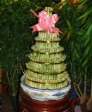 步步高升开运竹